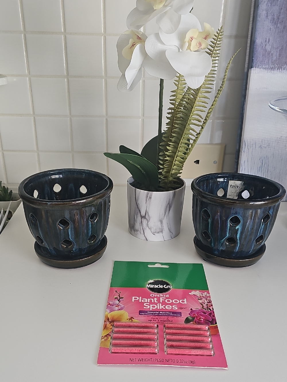 Glazed Ceramic Orchid Pots Bundle Of 2 With Holes 5"x 5" Plus Miracle Grow Spike